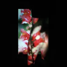Wallpaper Glows Lost Summer Remix