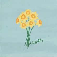 Daffodils