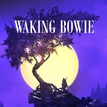 Waking Bowie