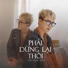 Phải Dừng Lại Thôi - EDM