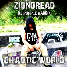 Hardcore Style DJ Purple Rabbit Remix