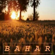 Bahar