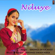 Niluye