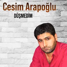 Düşmedim