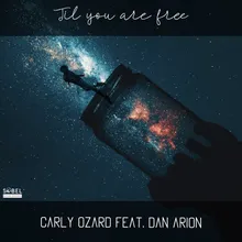 Til You Are Free Larry Peace Extended Mix