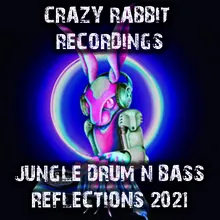 Fire DJ Purple Rabbit Remix
