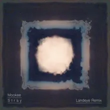 Stray LandEye Remix