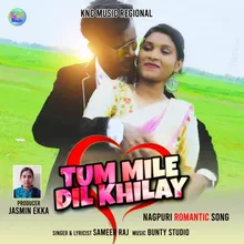 Tum Mile Dil Khilay