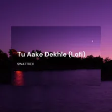 Tu Aake Dekhle Lofi