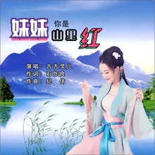 妹妹你是山里红 DJ何鹏版