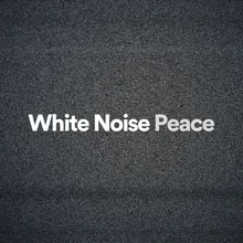 White Noise Peace, Pt. 2