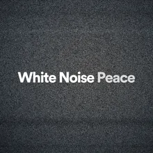 White Noise Peace, Pt. 16