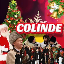 Colaj Colinde 2022 Florile Dalbe