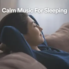 Calm Music For Sleeping, Pt. 4