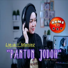 Pantun Jodoh (Hijau Hijau Daun Rambutan)