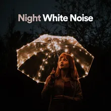 Night White Noise, Pt. 16