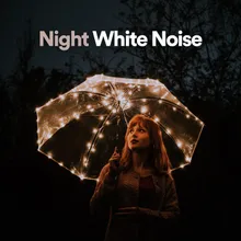 Night White Noise, Pt. 24