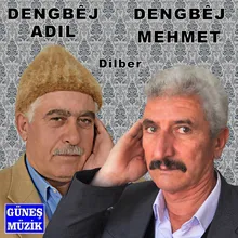 Aylê Dilber