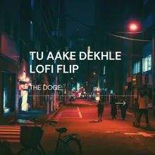 Tu Aake Dekhle Lofi Flip