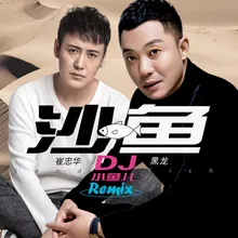 沙鱼 DJ小鱼儿Remix