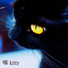 喵 kitty