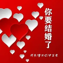 你要结婚了 DJ精选版