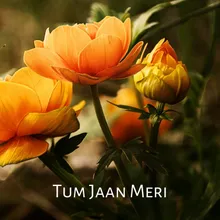 Tum Jaan Meri