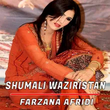 Shumali Waziristan