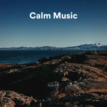 Calm Music, Pt. 1