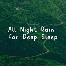 All Night Rain for Deep Sleep, Pt. 8