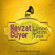 Limon Ektim Taşa