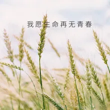 我愿生命再无青春