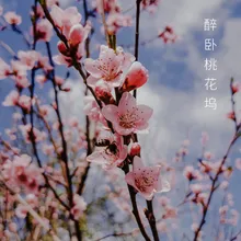 醉卧桃花坞