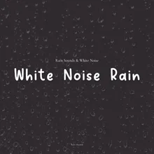 White Noise Rain, Pt. 13