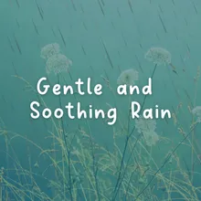 Gentle and Soothing Rain, Pt. 17