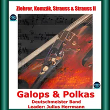 Fueurfest Polka, Op.269