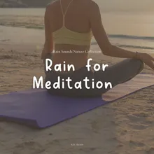 Rain for Meditation, Pt. 16