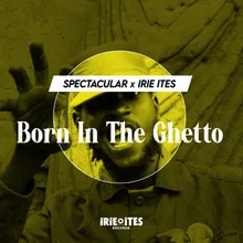 Born in The Ghetto Reggae Mix