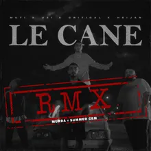 LE CANE RMX