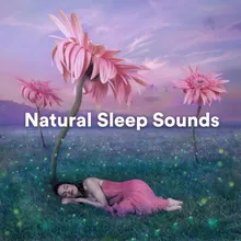Natural Sleep Sounds, Pt. 15