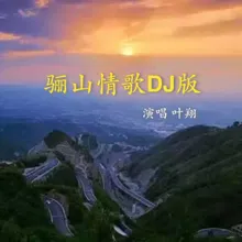 骊山情歌 Dj版