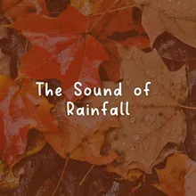 The Sound of Rainfall, Pt. 5