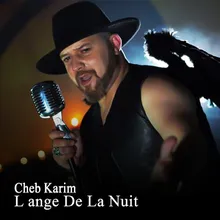 L'ange de la nuit