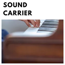 Sound Carrier
