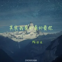 其实我真的真的爱你