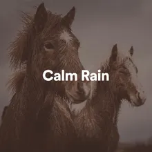 Rain For Sleep Meditation