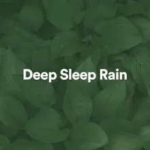 Rain Sleep Sounds 1 Hour