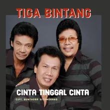 Cinta Tinggal Cinta