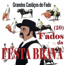 Fado E Toiros