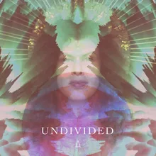 Undivided